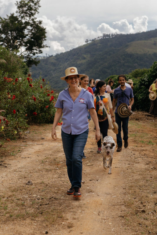 Visita Guiada Degustação Coffee Tour Turismo do Café Especial | Cafezal em Flor