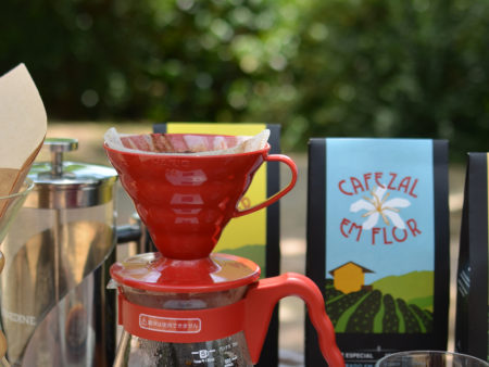 Experiência da Colheita Degustação Coffee Tour Turismo do Café Especial | Cafezal em Flor
