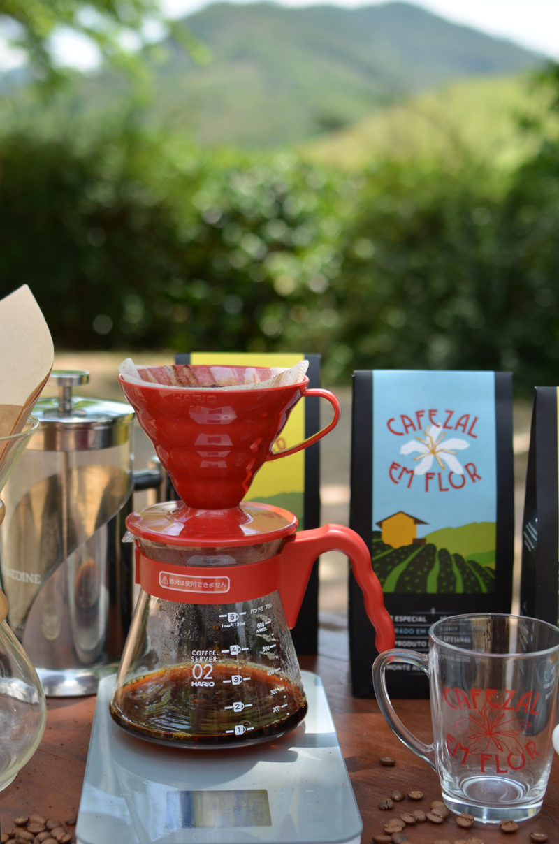 Experiência da Colheita Degustação Coffee Tour Turismo do Café Especial | Cafezal em Flor