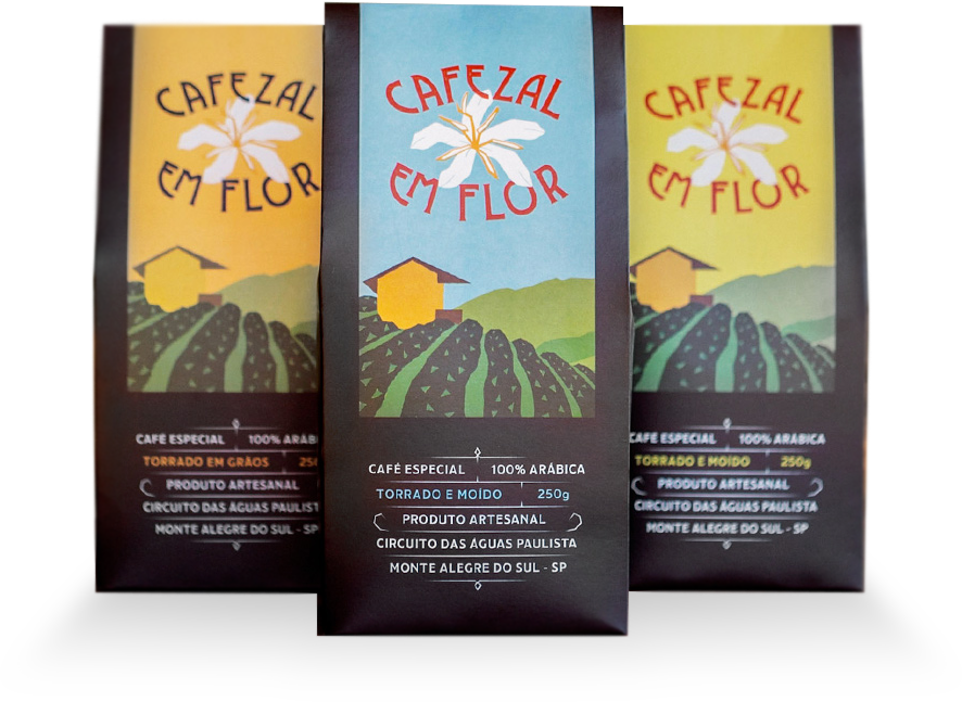 Kit Degustação de Cafés Especiais 3 Variedades 750g | Cafezal em Flor